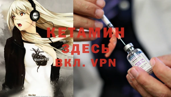 хмурый Белокуриха