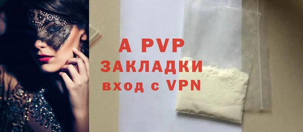 хмурый Белокуриха