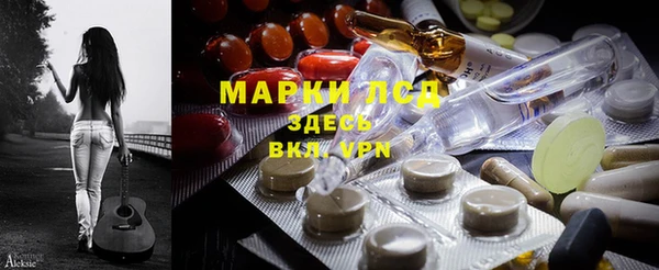 хмурый Белокуриха
