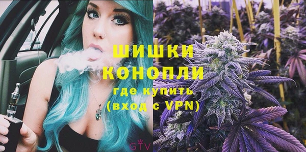 хмурый Белокуриха